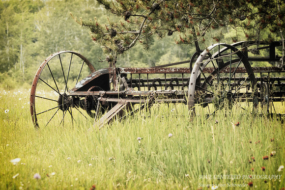 Farm rake, vintage