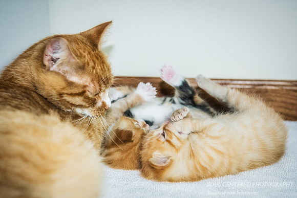 a "cuddly mess"