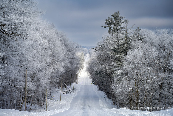 Country road with hoarfrost
