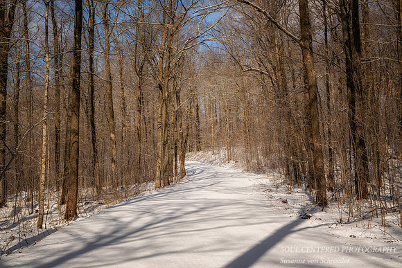 Early spring drive through the Blue Hills