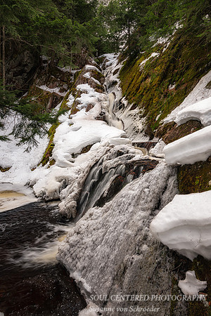 Morgan Falls, March '26 3