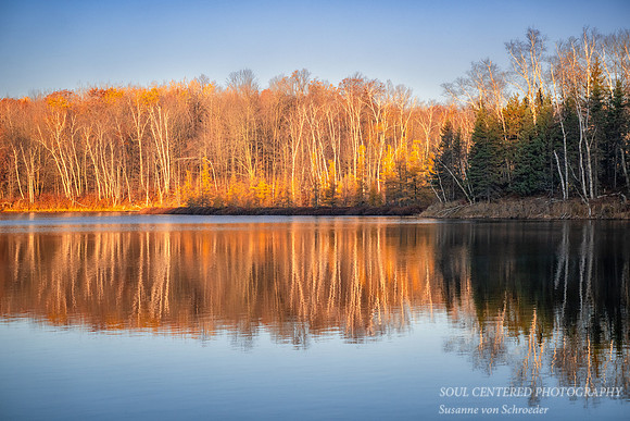 Tamaracks and reflections, Audie Lake, late October. '25 1