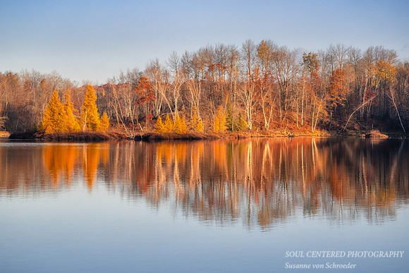 Tamaracks and reflections, Audie Lake, late October. '25 2