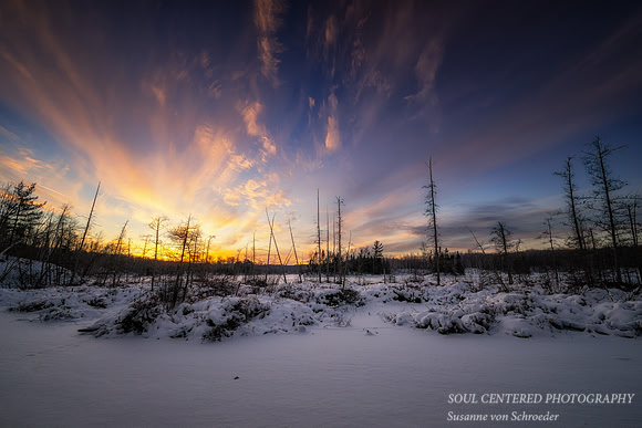Colorful winter sunset, Audie Lake, Dec. '25 1