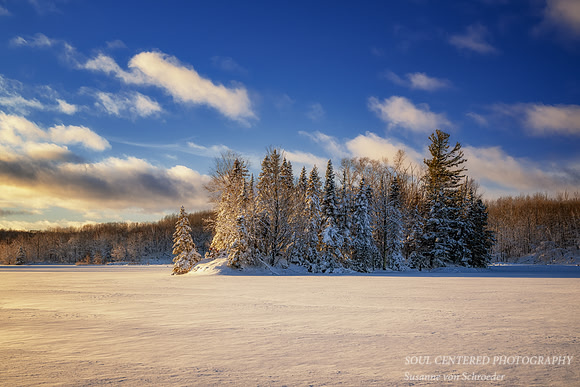 Fresh snowfall, evening light at Audie Lake, Dec. '25 5