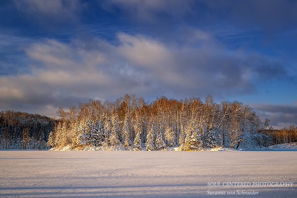 Fresh snowfall, evening light at Audie Lake, Dec. '25 7