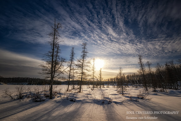 Sunny winter day, Audie Lake, January '26 2