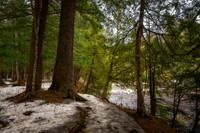 Path along the Presque Isle River