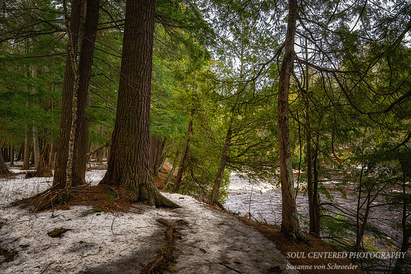 Path along the Presque Isle River