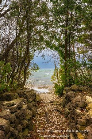 Cedar trees and path at Cana Island Lighthouse