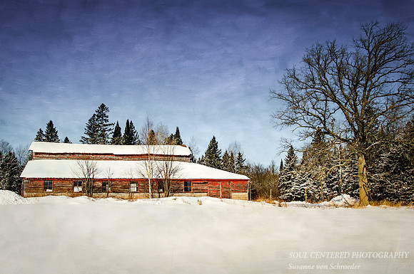 Barn red, Reichel,  winter
