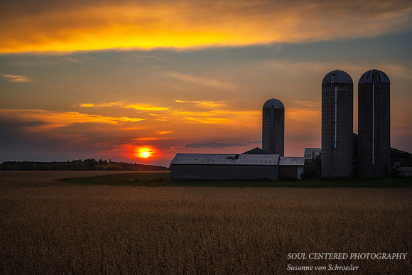 Wisconsin farm at sunset 1