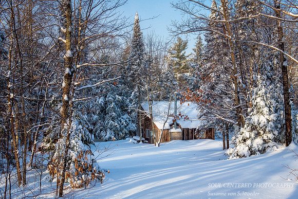 Family cabin in the woods