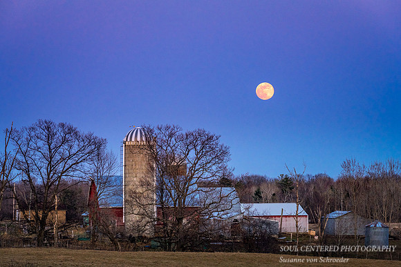 "Pink" full moon rising