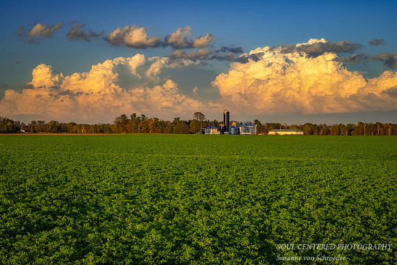 October Thunderheads, near Bruce, Wisconsin