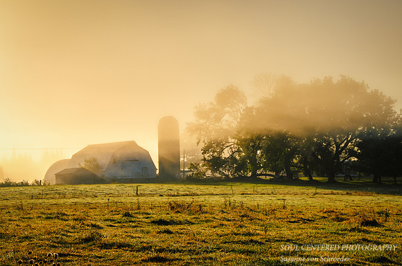 Foggy Barn