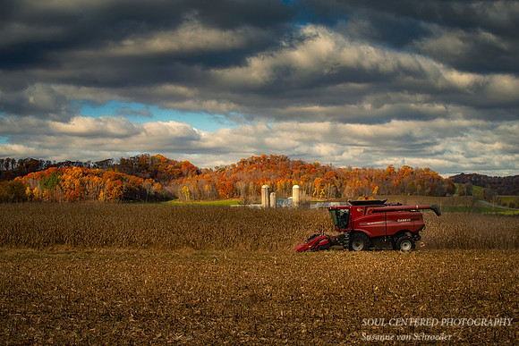 Late Fall landscape, harvest 2021