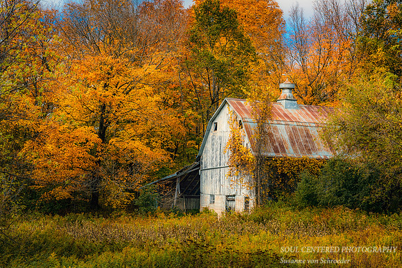 Barn, fall colors 2