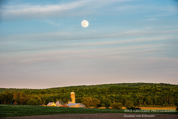 Strawberry full moon rising, '15 1