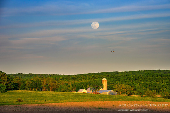 Strawberry full moon rising, '15 3