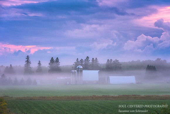 Foggy evening