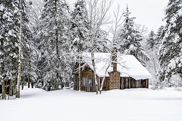 Cabin in winter woods