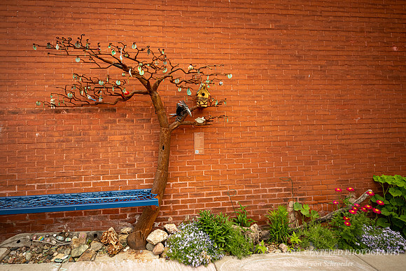 Artsy Bayfield street