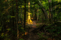 Pathway, Frog Bay Tribal National Park, WI