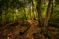 Spring at Frog Bay Tribal National Park, '26 1