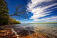Leaning Tree at Frog Bay Tribal National Park, '26