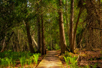 Spring at Frog Bay Tribal National Park, '26 3