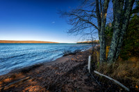 Maple tree at Lake Superior, Nov. '25