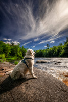 Shanti at the Flambeau river, June '26