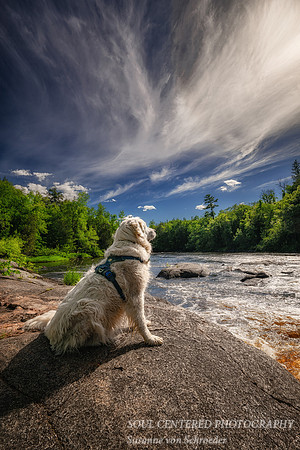 Shanti at the Flambeau river, June '26