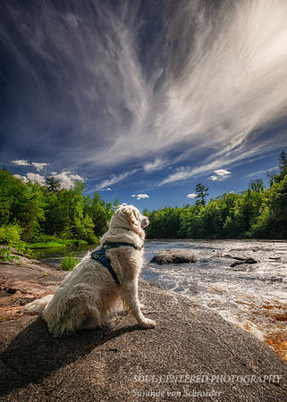 Shanti at the Flambeau river, June '26, 5x7