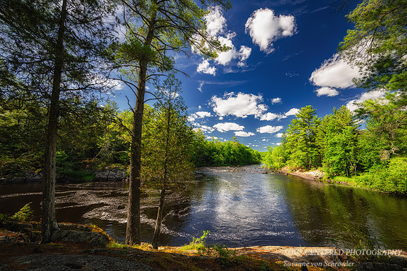 Flambeau river, Slough Gundi, June '26 1