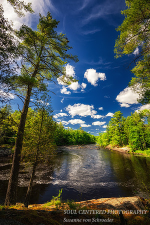 Flambeau river, Slough Gundi, June '26 2