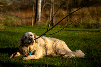 _DSC2671z