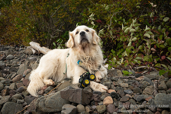 Shanti with tractor toy