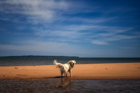 _DSC9478z