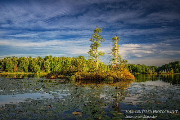 Little bog at Sunrise, Audie Lake, July '26