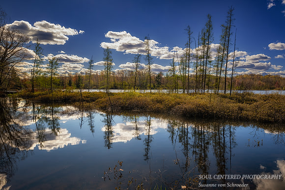 Spring Clouds at Audie Lake with bog, May '26
