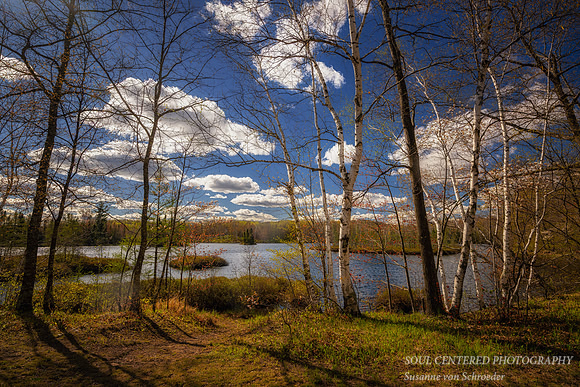 Spring Clouds at Audie Lake with birch trees, May '26