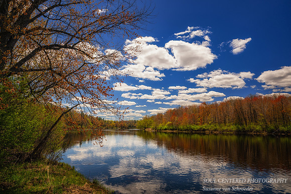 Glorious Spring day, Flambeau river, Ladysmith 1