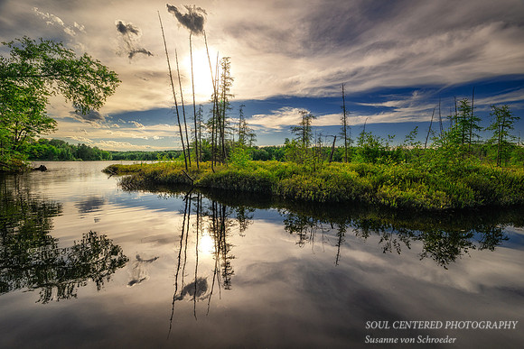 Early summer at Audie Lake, boat landing, June'26
