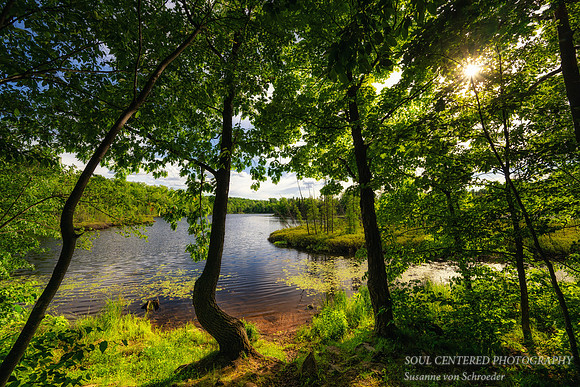 Early summer at Audie Lake campground, June'26