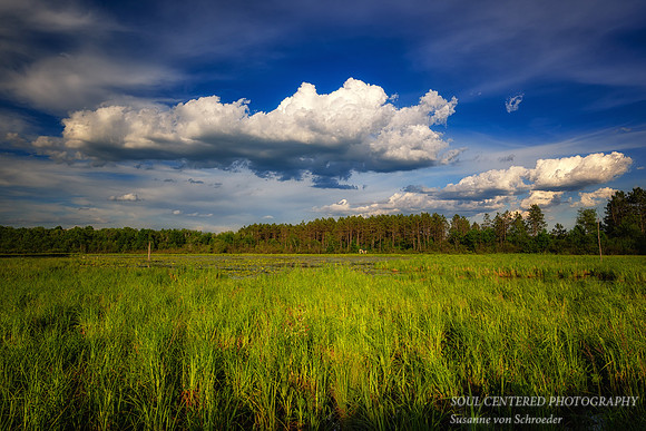 Glorious Spring day, Blue Hills  3