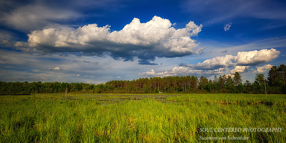 Glorious Spring day, Blue Hills  3, panorama