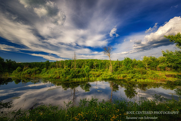 Glorious Spring day, Blue Hills  2
