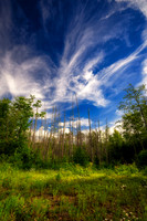 Glorious Spring day, Blue Hills  1